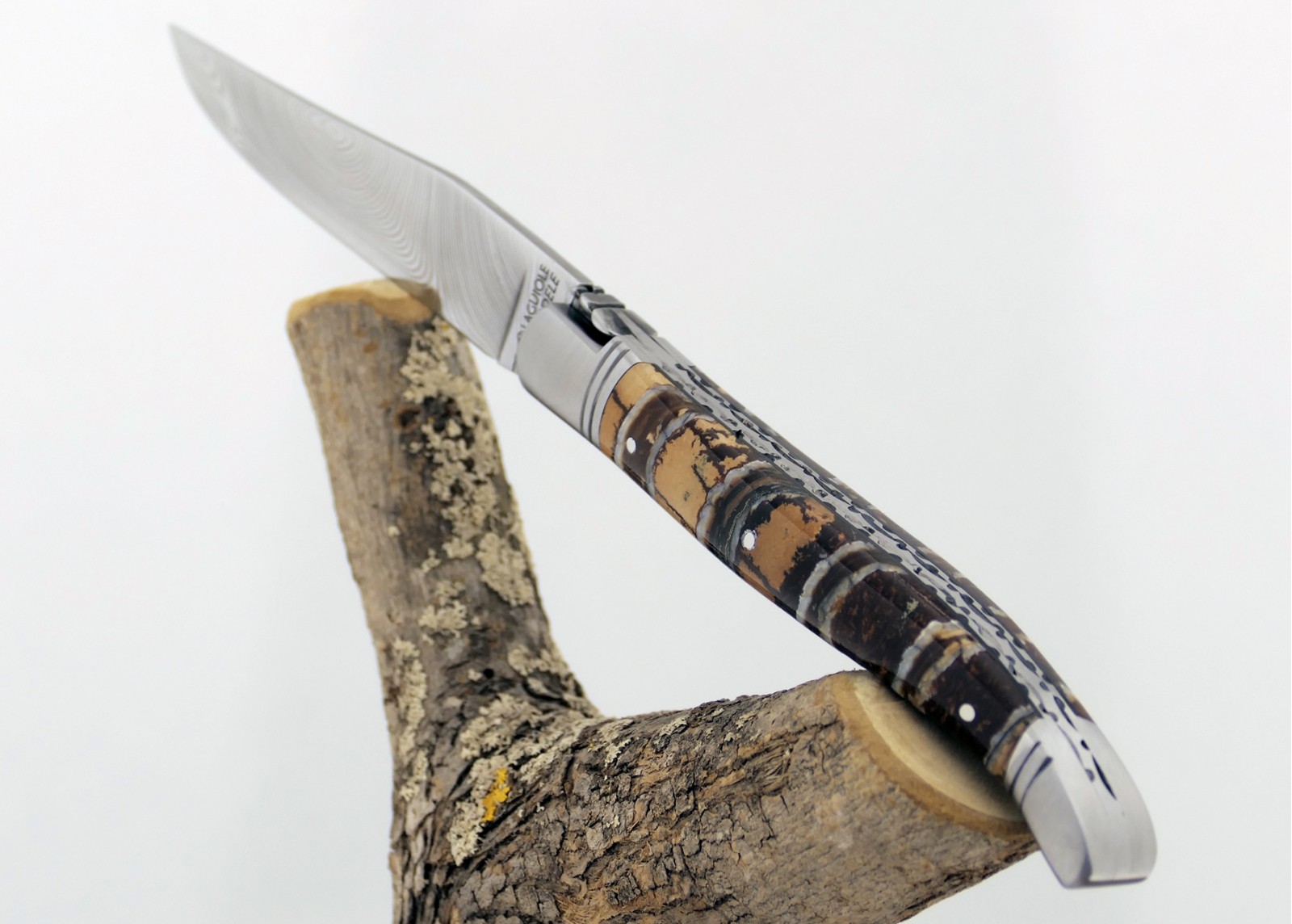Couteau Laguiole avec un manche en Molaire de Mammouth Fossile