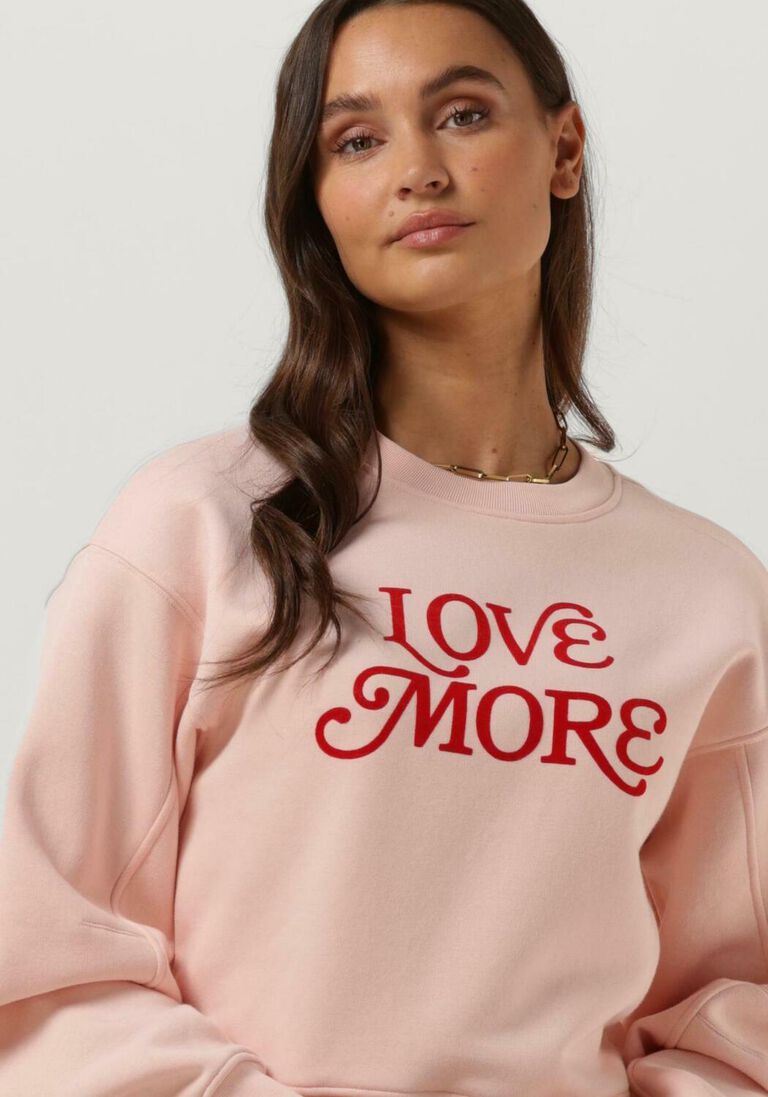 CATWALK JUNKIE roze catwalk junkie trui sw love more