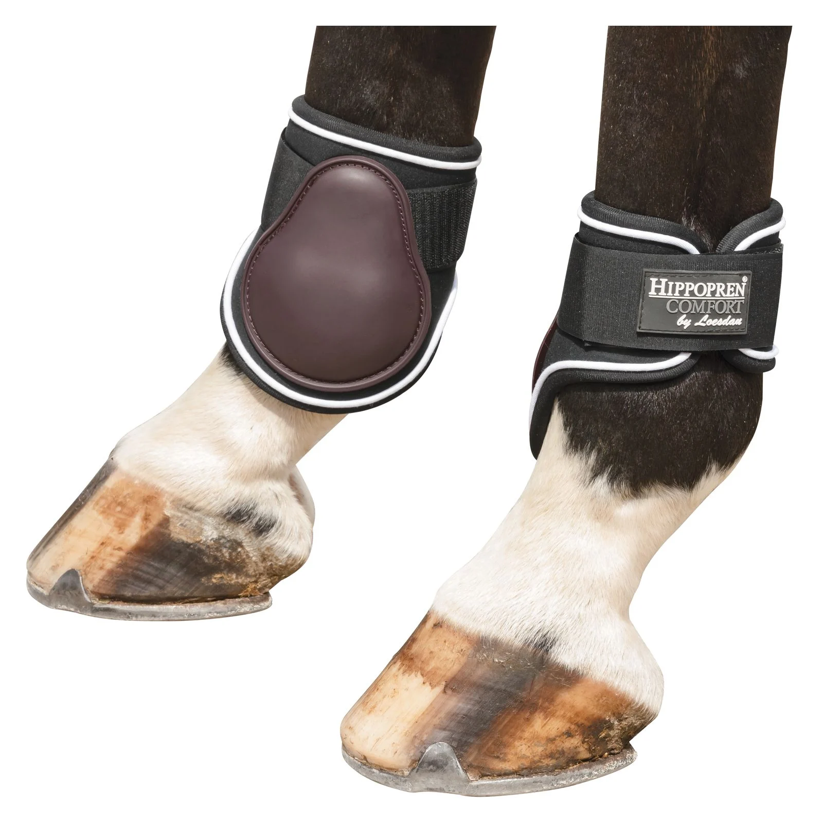 HIPPOPREN COMFORT Streichkappen Barcelona, hinten  - braun
