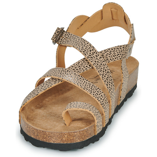 Metamorf'Ose - NACCORE - Beige / Marron / Noir