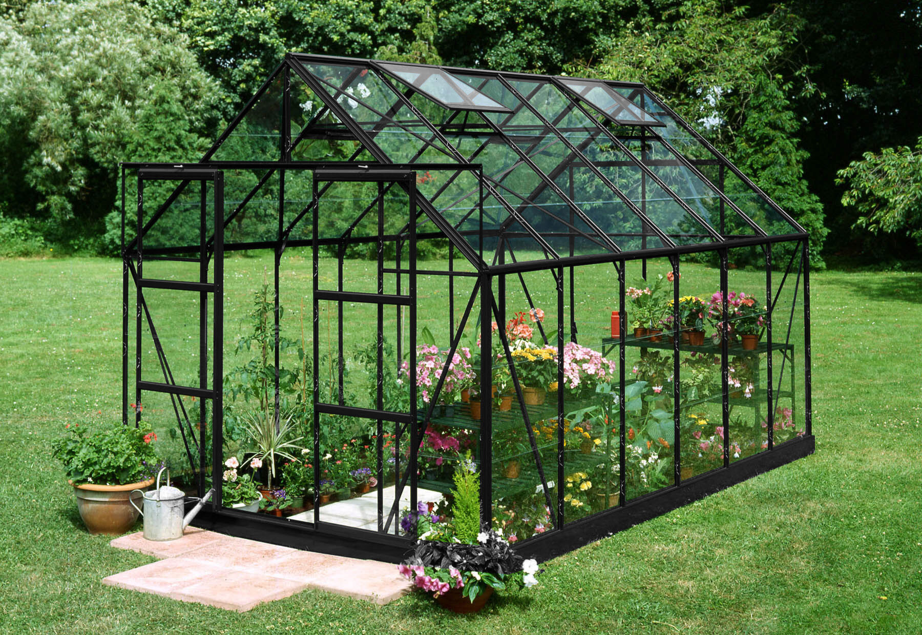 Halls Magnum 128 - Tuinkas - Zwart - 258x257x384 cm - Veiligheidsglas