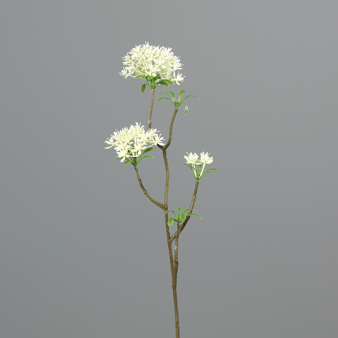 Kunstblume BOWARDIENZWEIG