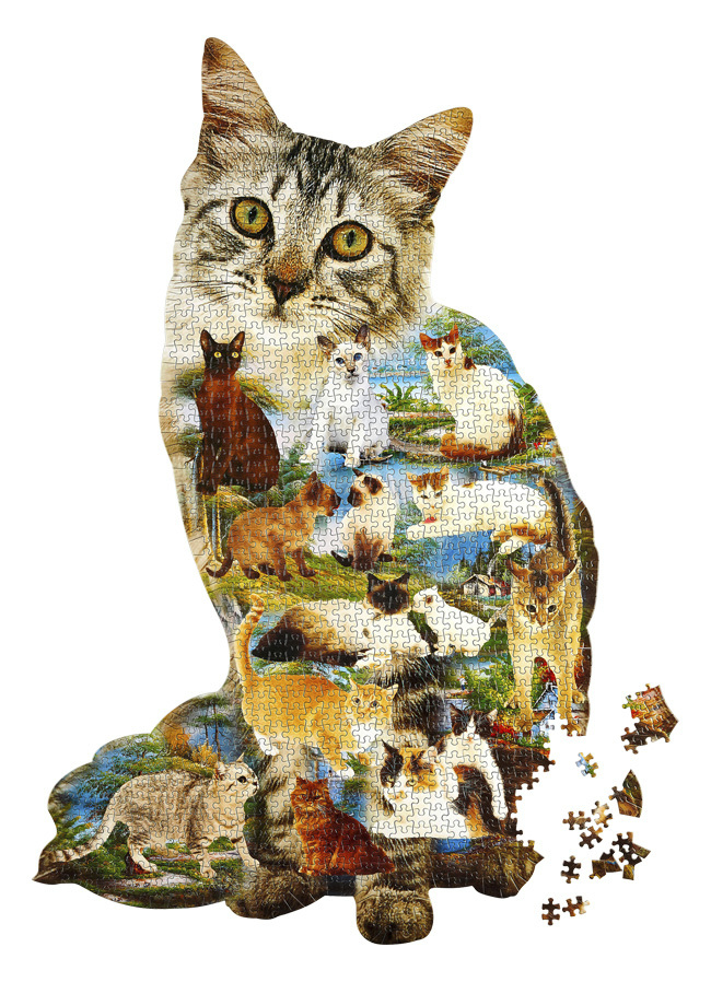 1.000 Teile Puzzle 