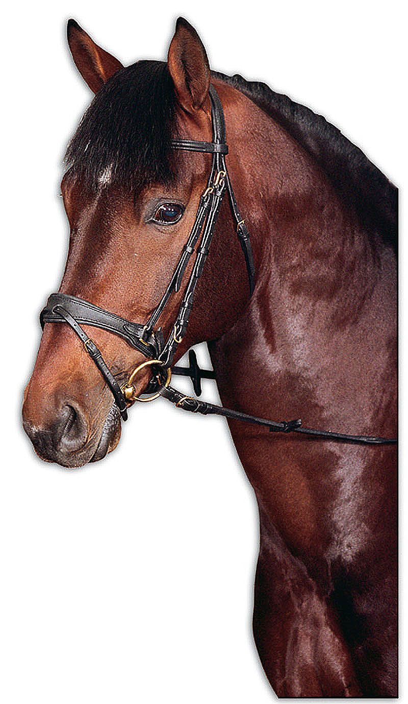 Hubertus Jubilee Zaum