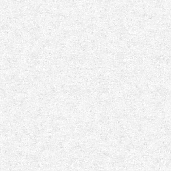 Papier peint pré-encollé vinyle intissé Easy Roll GoodHome Bagatelle blanc l.53 x H.1005 cm