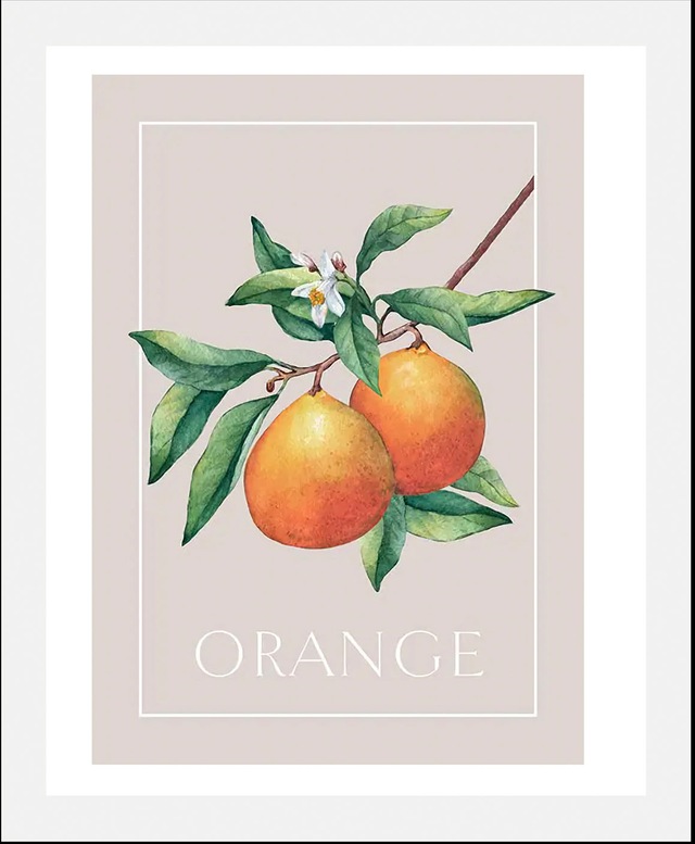 queence Bild »Orange« Kunst | Obst | Obst Bilder | Pflanzen | Pflanzenbilder | Schriftzug 1 Stk. tlg. gerahmt