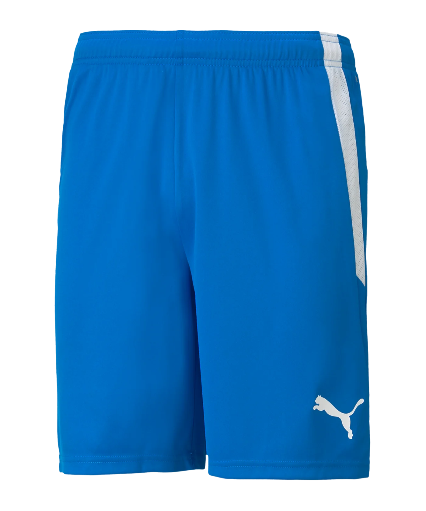 PUMA teamLIGA Short Blau F02