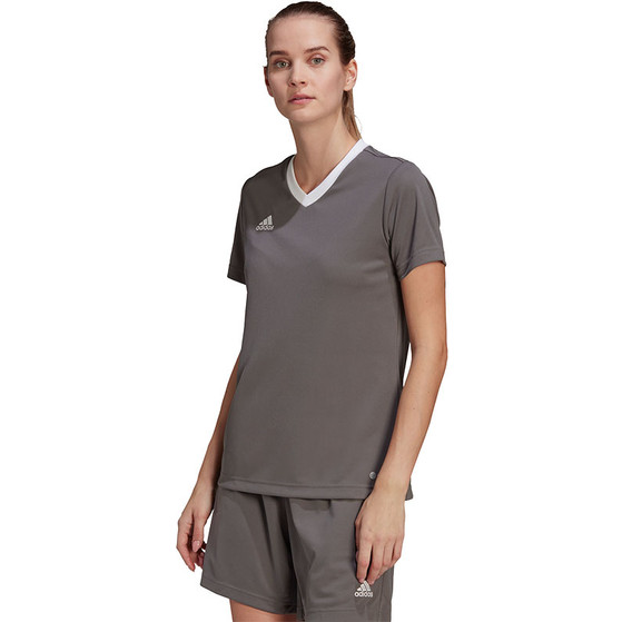 adidas Entrada 22 Training Shirt Dames