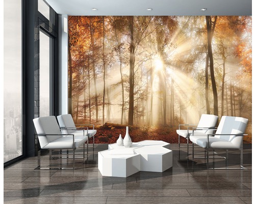Vliesbehang 10471 VEEXXXL Mystical Forest oranje brons 8-delige set 832 x 243 cm