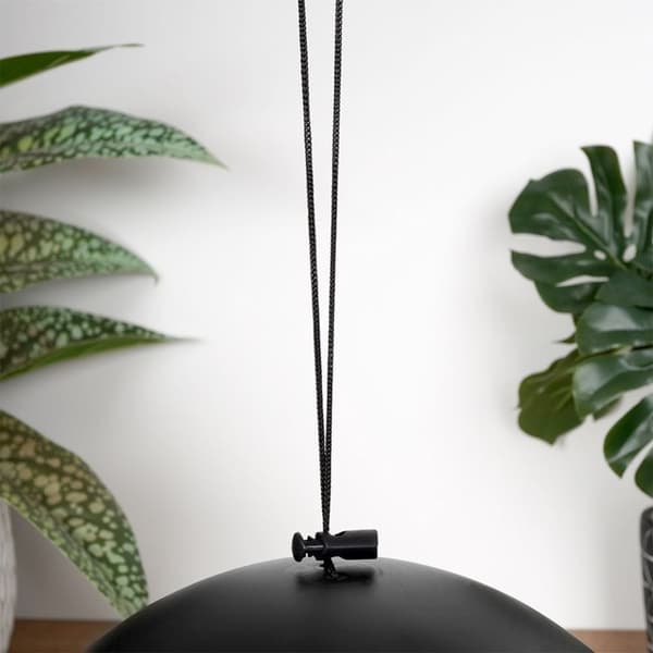 Seed Bird Feeder - Tiltrekk småfugler hele året