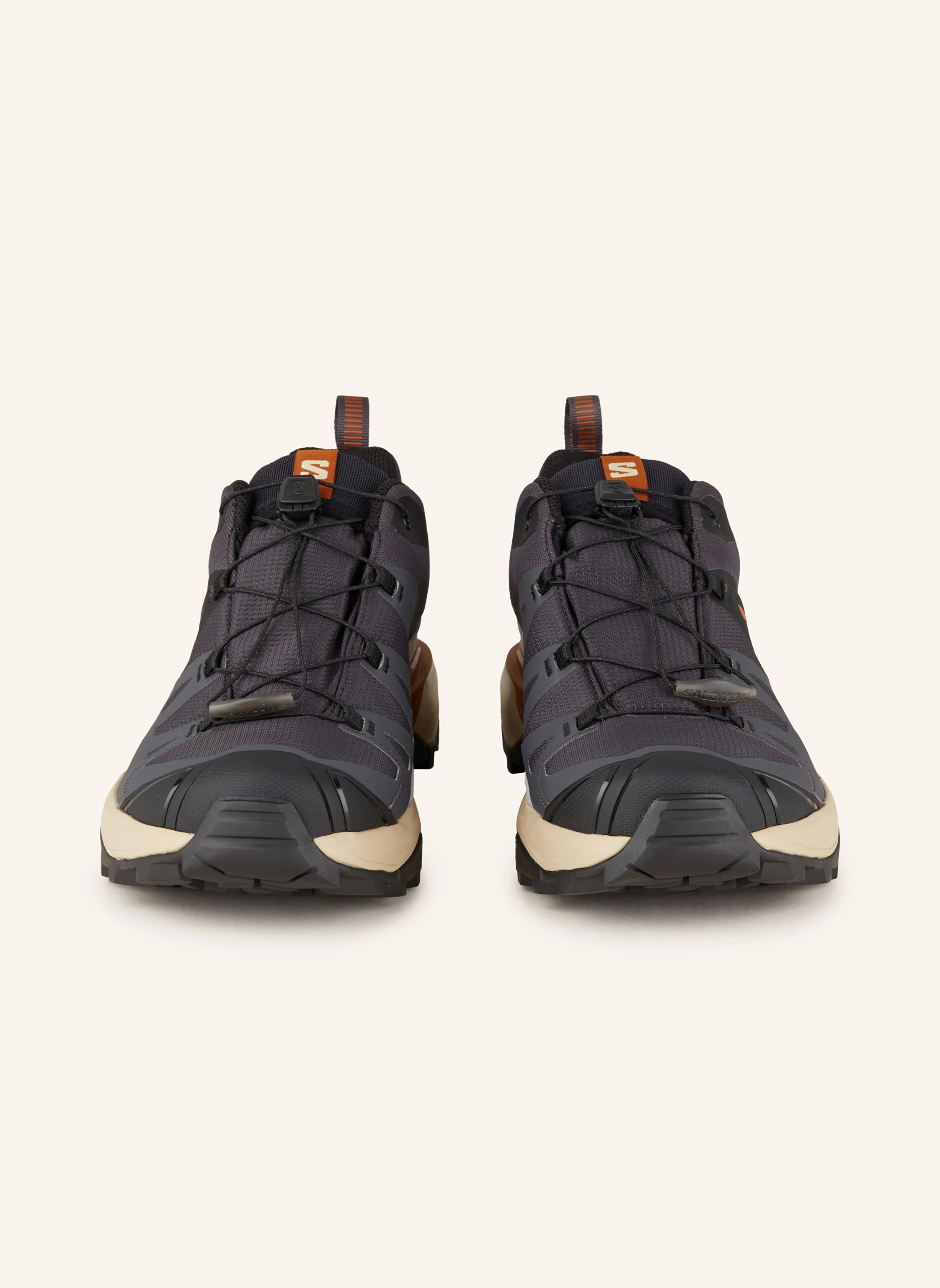 SALOMON Trekkingschuhe X ULTRA 360 GTX