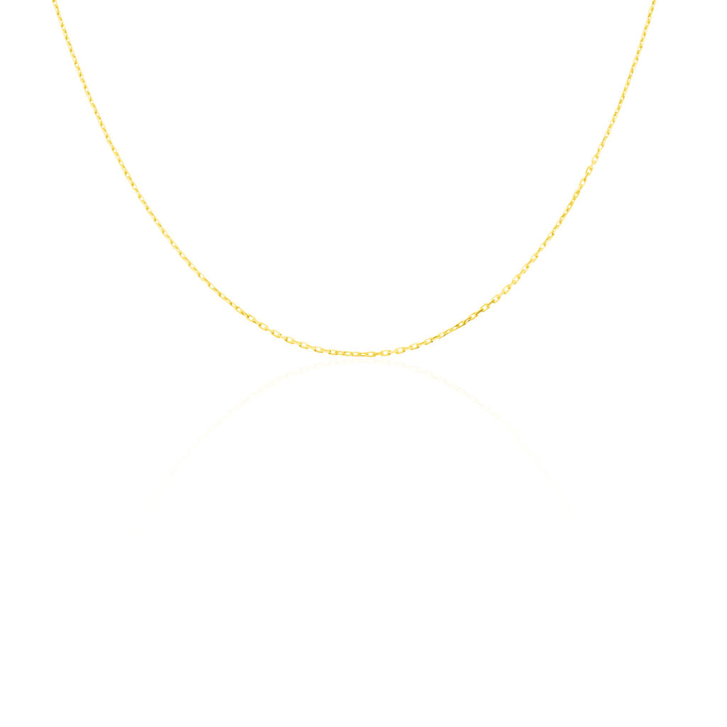 Chaine Or Jaune Forçat