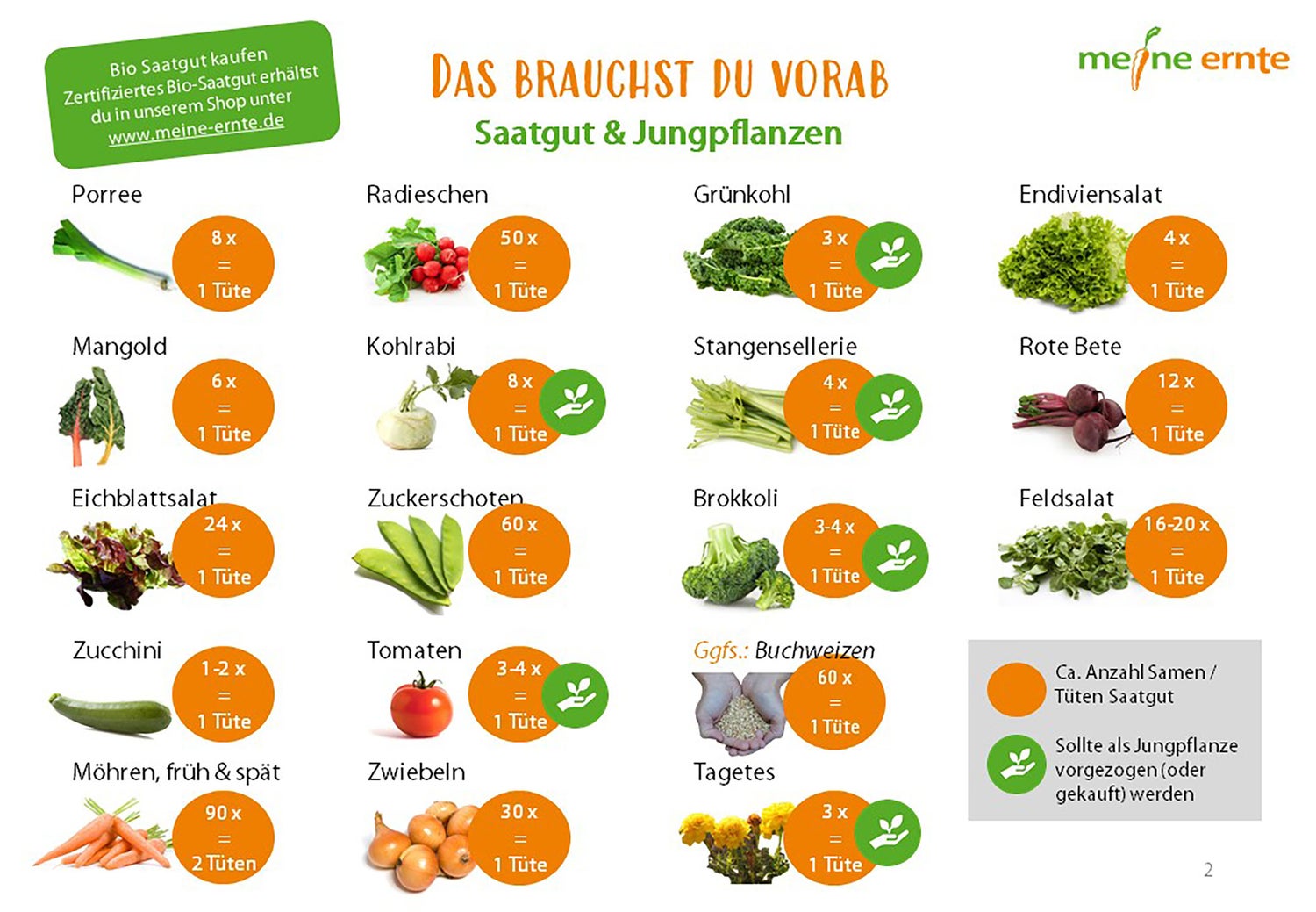 E-book De Vernieuwbare Tuin, Moestuin, Digitaal Tuinplan, Beplantingsplan, Instructies, Zelfredzaamheid, Zaaien, Verzorging en Oogsten