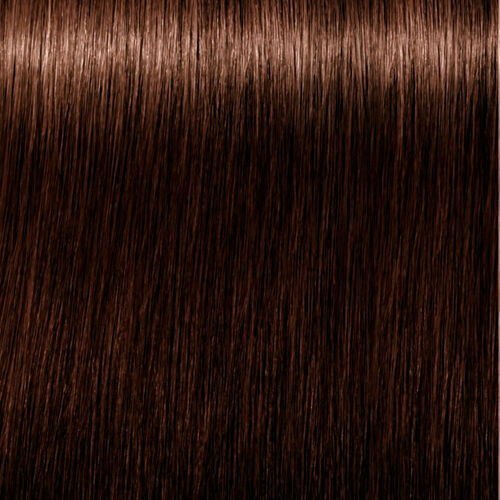 Schwarzkopf - Igora Royal Absolutes 5-60