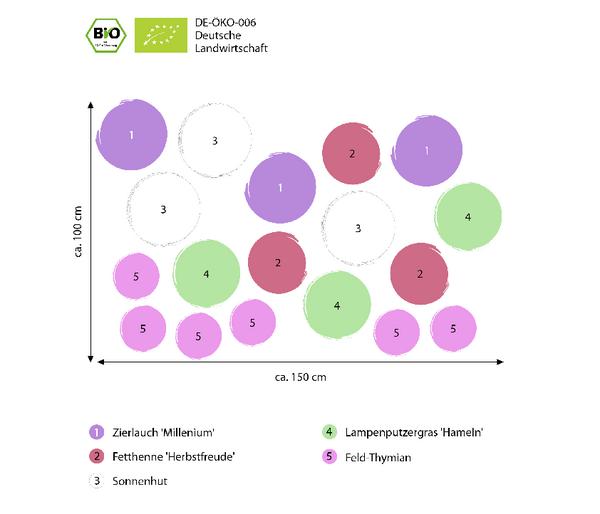 Bio Stauden-Set Sonnenzeit, Landlust