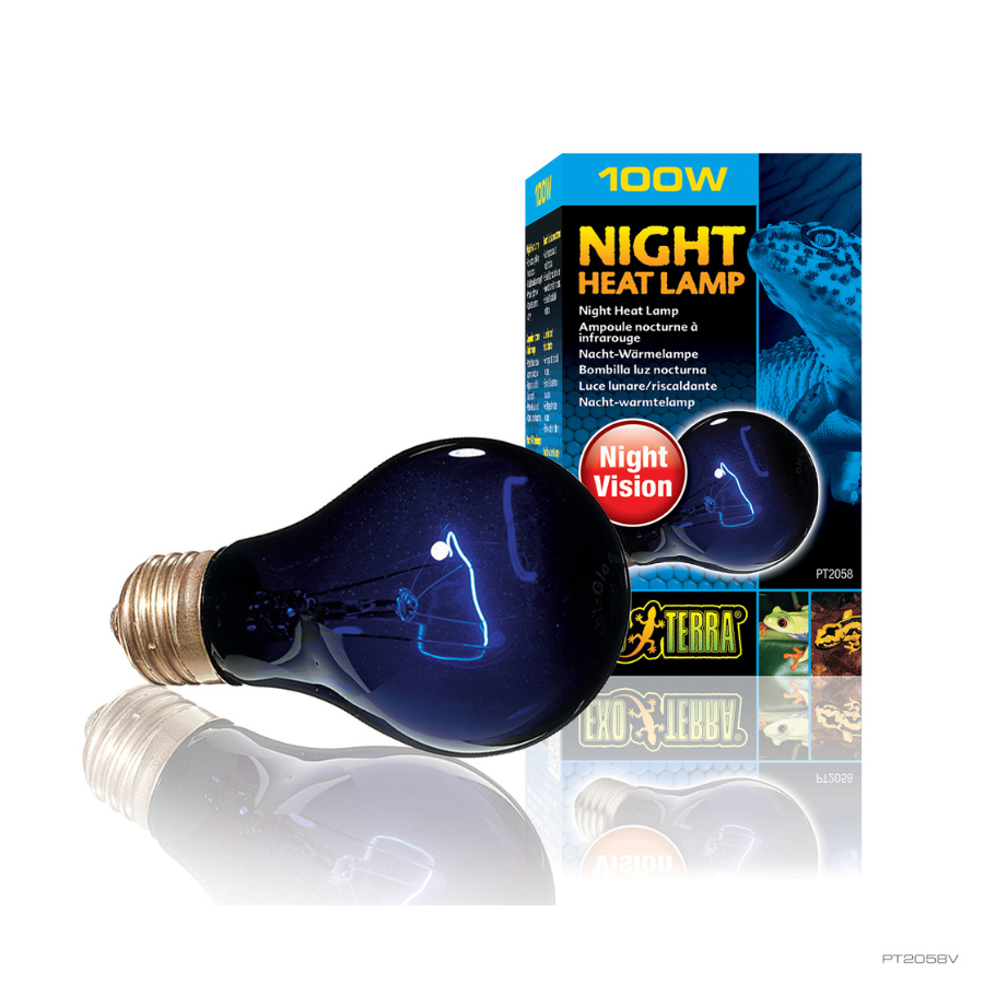 Lâmpada incandescente Exo-Terra Night Glo