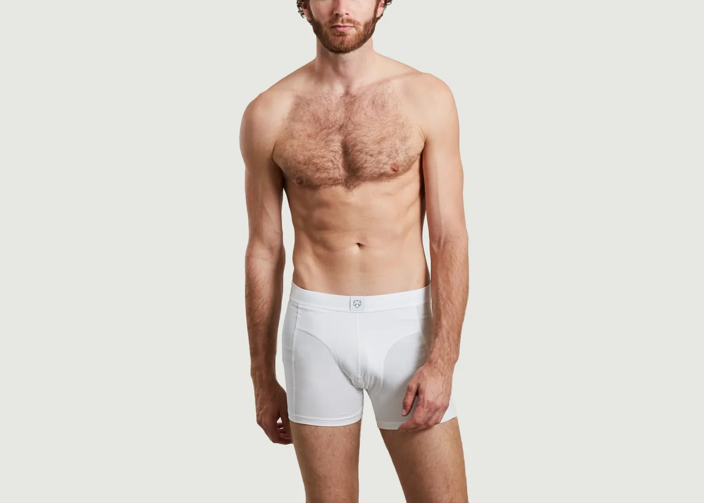 Boxer Okke A-dam