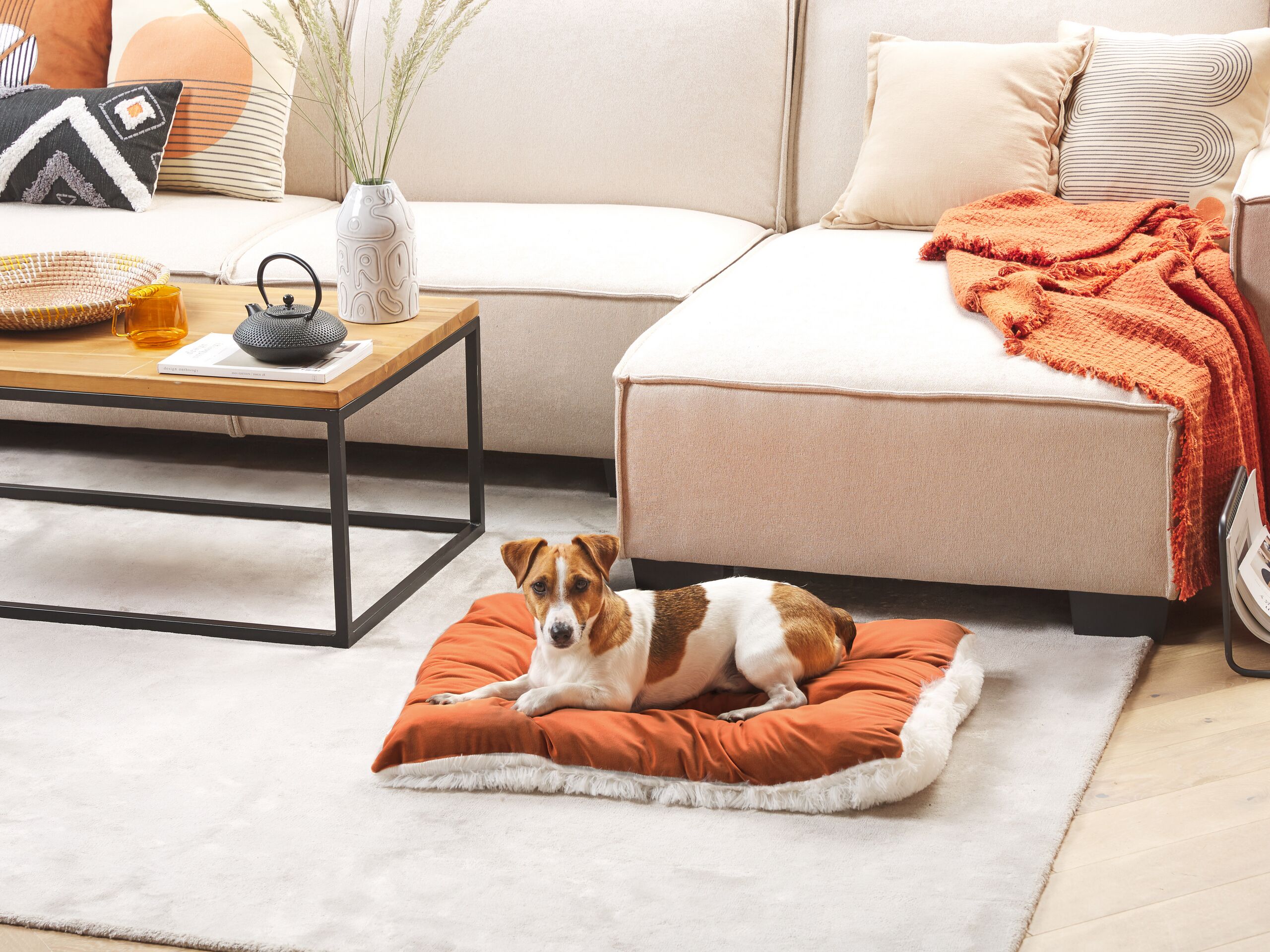 Beliani - ERGANI - Dierenbed - Oranje - Fluweel