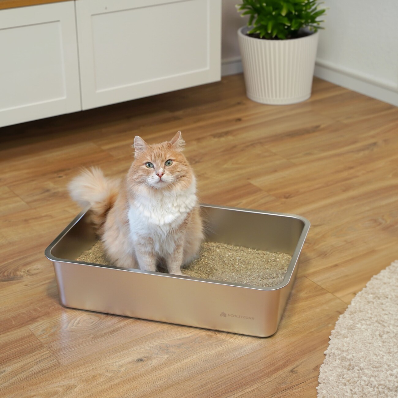 Schlitzohr Premium Edelstahl Katzentoilette Lotte - XXL