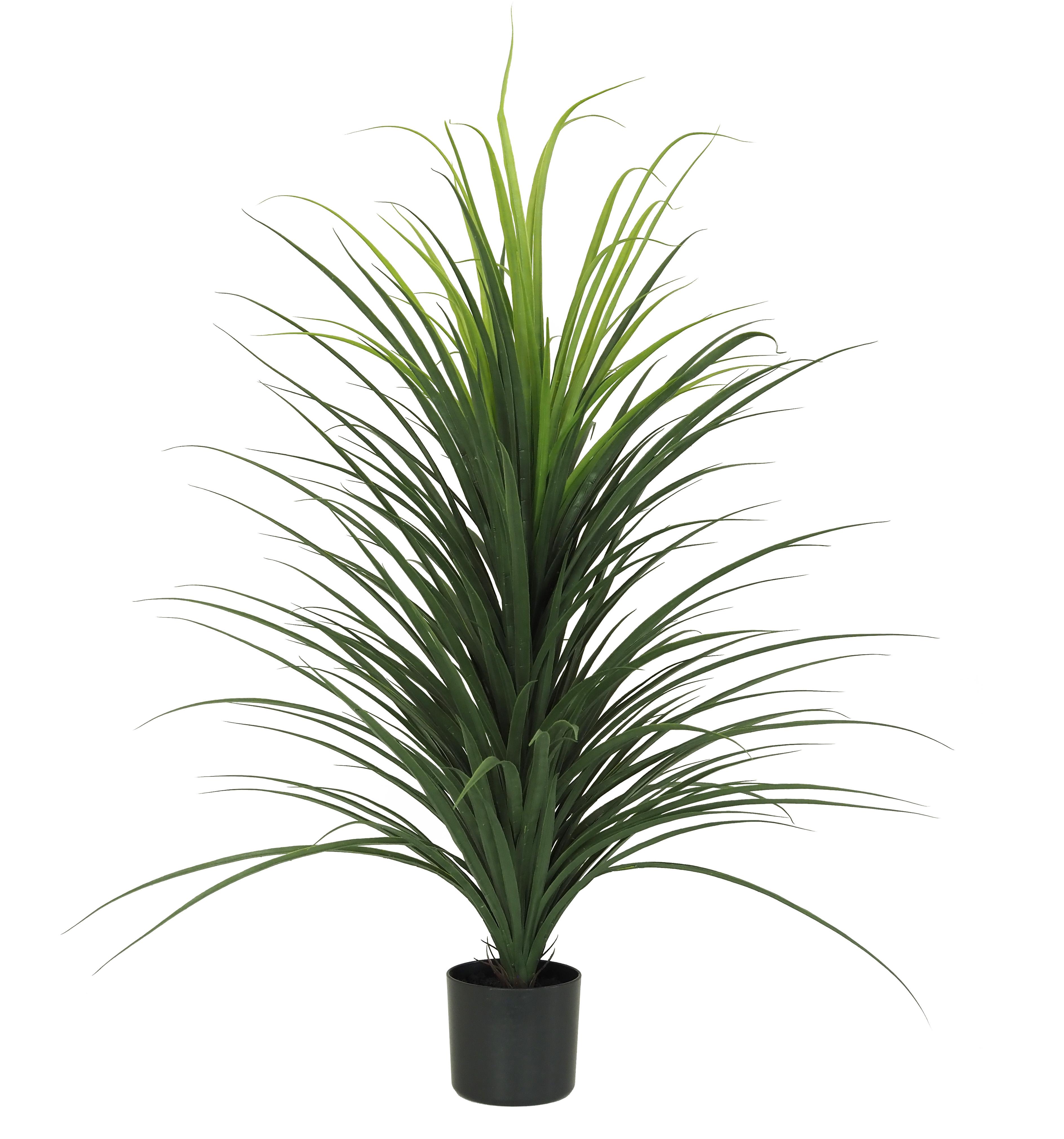 DRACENA POT PLASTIQUE NOIR H.120CM