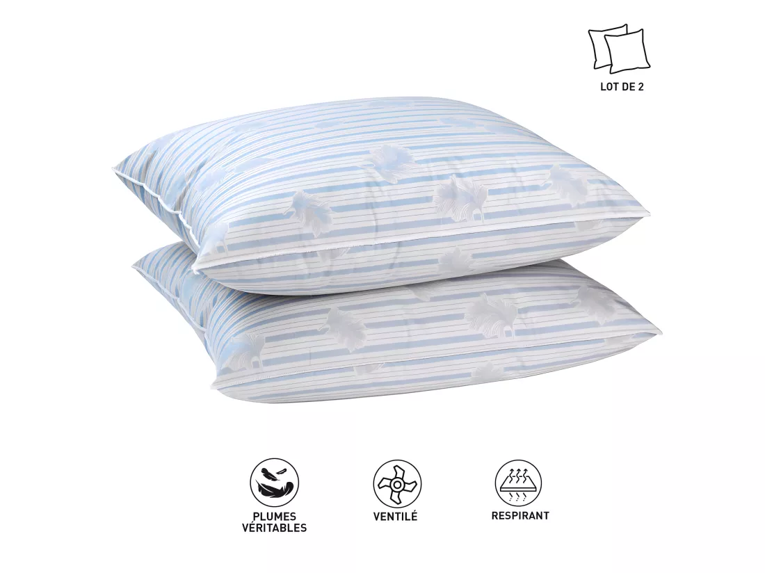Lot De 2 Oreillers Plumes Véritables 60 X 60 