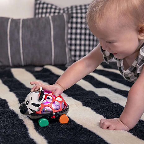 Baby Einstein legetøjsbil