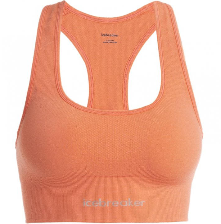 Icebreaker 260 ZoneKnit Seamless Bra W's