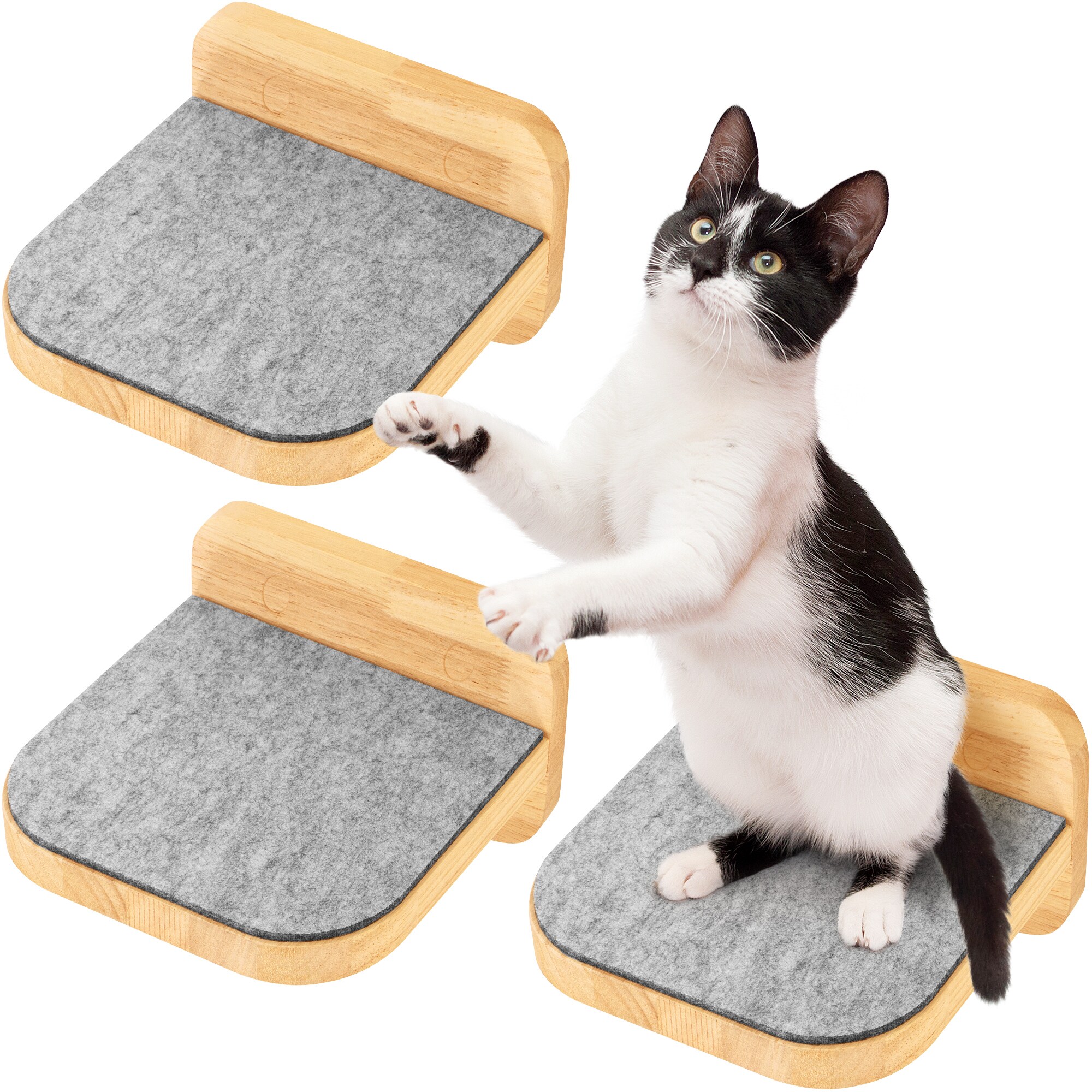 HAPPYPET Katzentreppen 3er-Set für Wandmontage - Nachhaltiges Hartholz, Designer Kletterwand Katzen, Katzentreppe mit Filzbezug, Katzenleiter, Katzenwand zum Klettern, Catwalk | Natur3x Stufen L