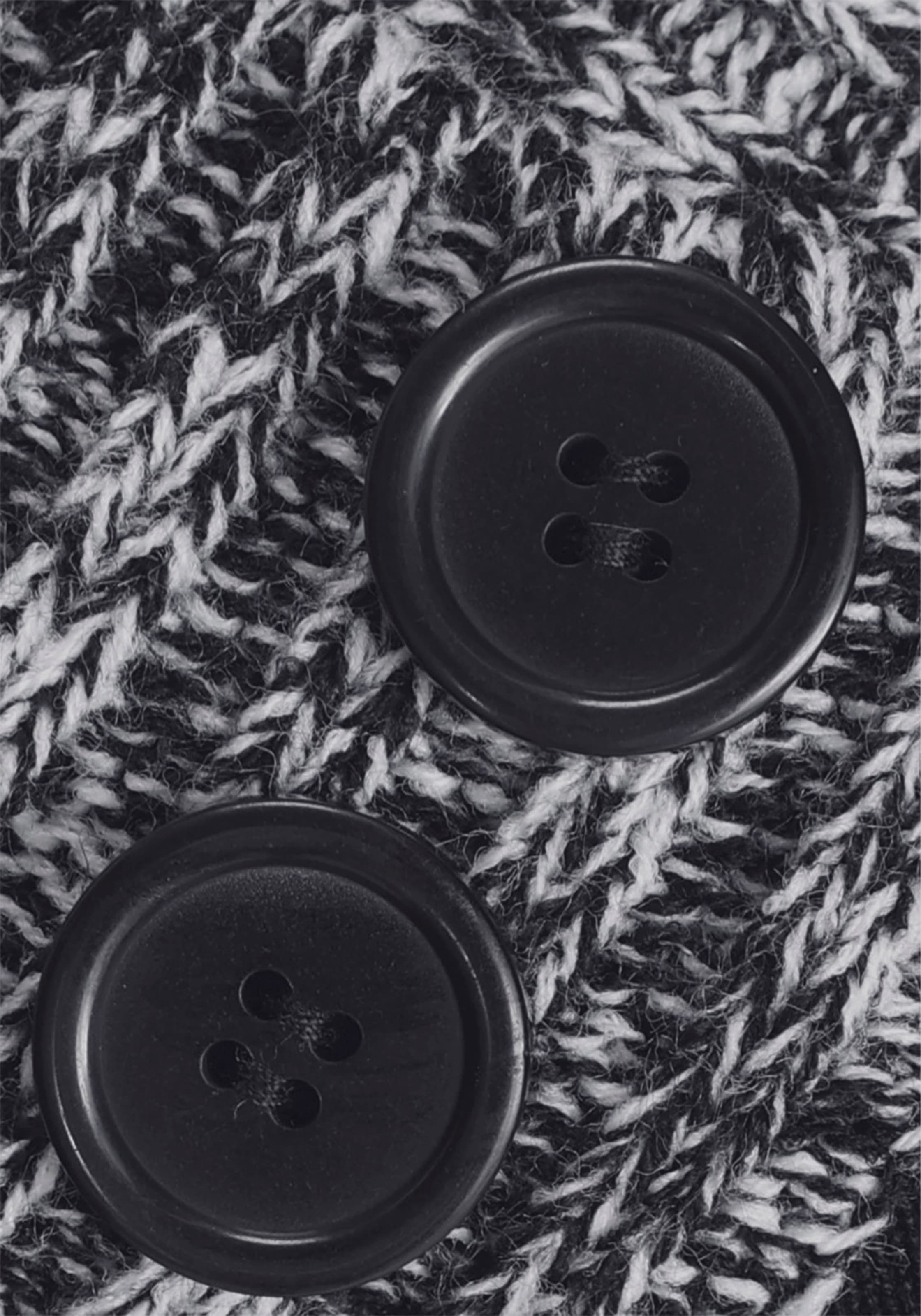 Melrose Strickpullover , mit Kontrastkragen und Zierknöpfen