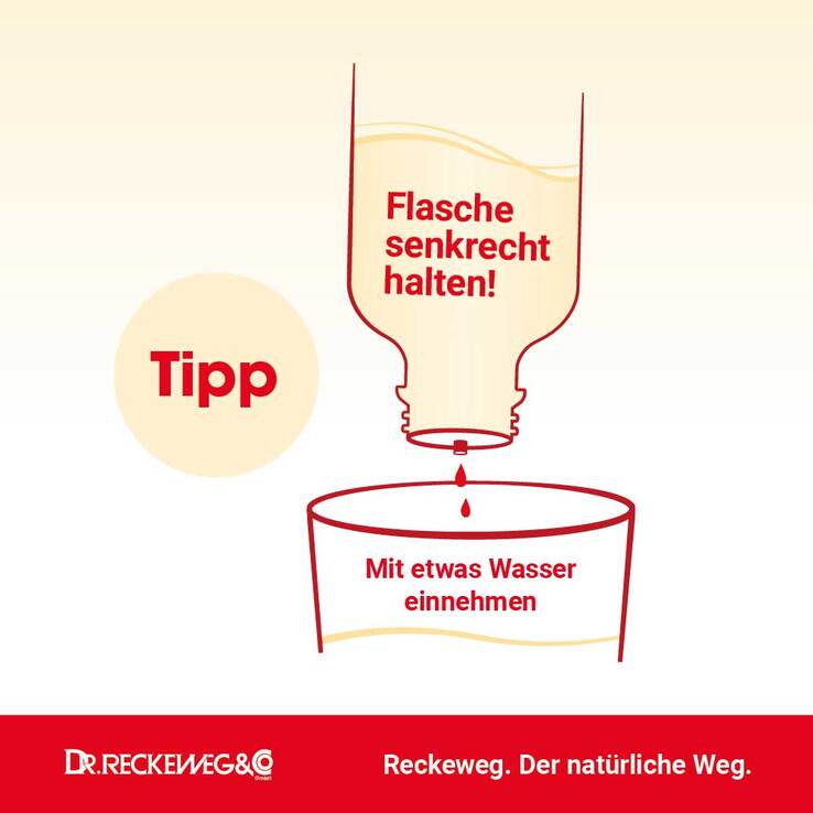 Haemorrhoid-Gastreu N R13 Tropfen zum Einnehmen, 22 ml