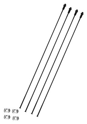 Lot de 4 rayons avant droit Campagnolo shamal carbone