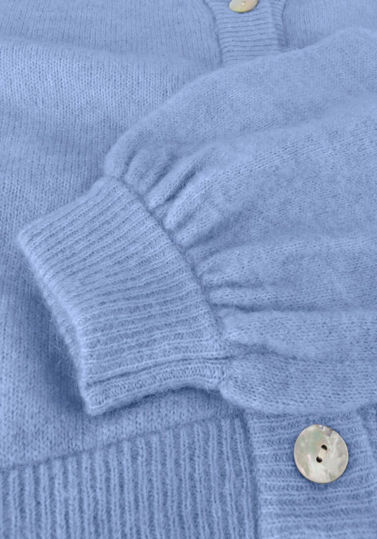 MSCH COPENHAGEN blauwe msch copenhagen trui mschpetrinelle hope cardigan