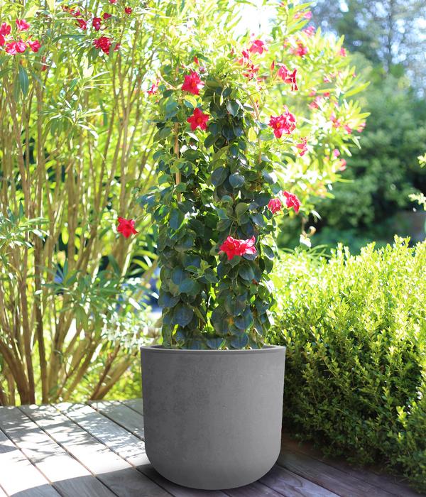 EDA Kunststoff-Topf Basalt Up, rund