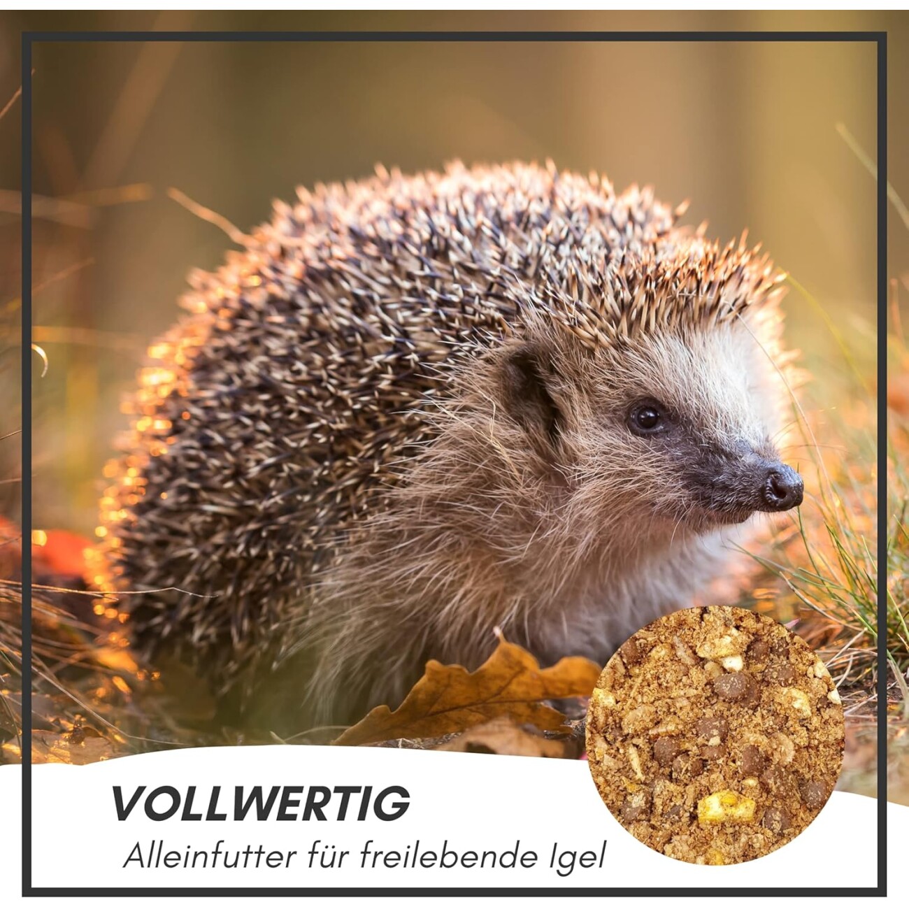 Supravit Igelfutter mit Insekten - Artgerechtes Igel Futter mit Mehlwürmer, Krebstiere, Früchte & Gemüse - Abgestimmt auf die speziellen Ernährungsbedürfnisse 1 kg