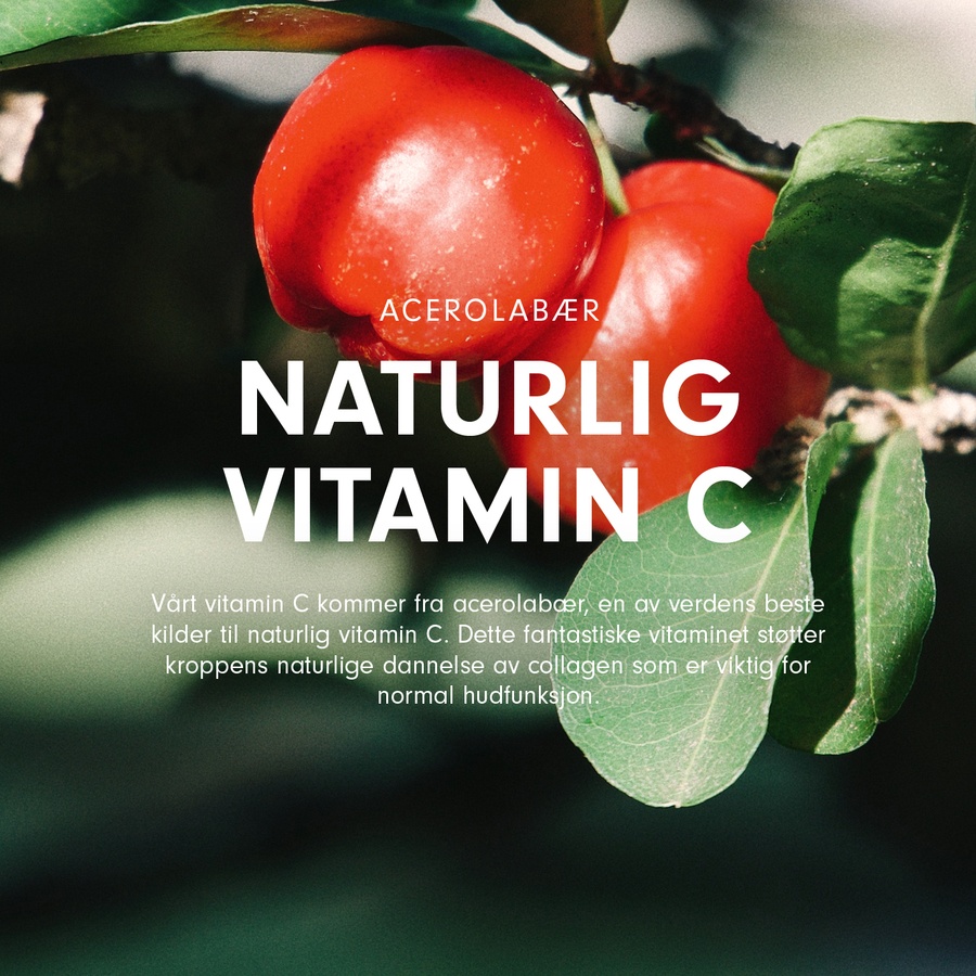 Vild Nord Lemon Marine Collagen 170g