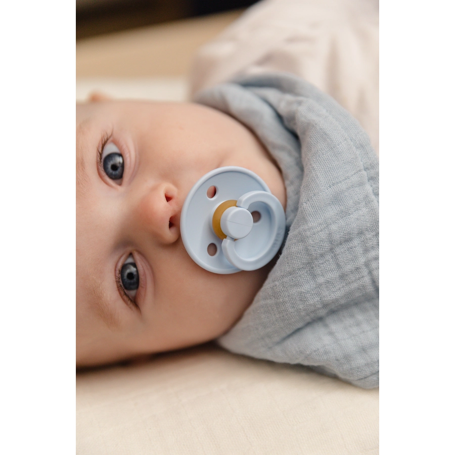 BIBS® Schnuller Colour Dusty Blue & Steel Blue 6-18 Monate, 2 Stk.