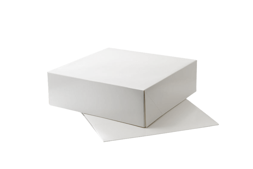 Duplex doos 250x250x80mm wit