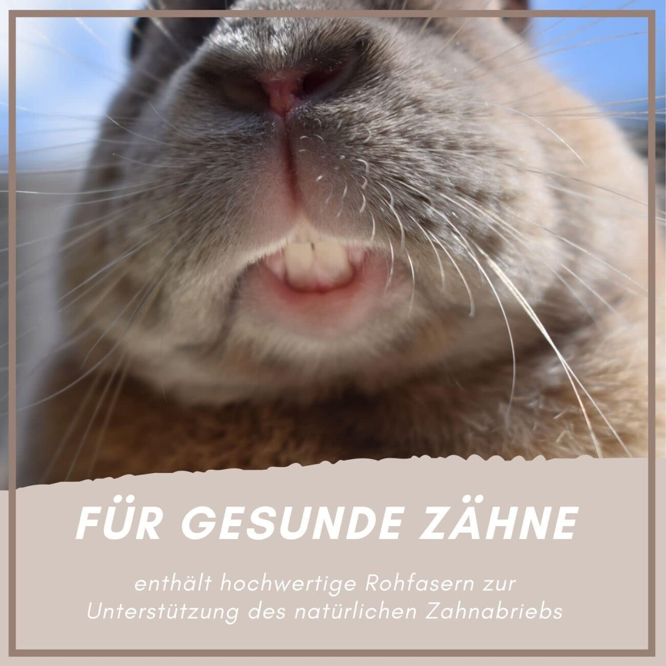 Supravit Hasen- & Kaninchenfutter - Alleinfutter für Zwergkaninchen, Kaninchen & Hasen 2,5 kg