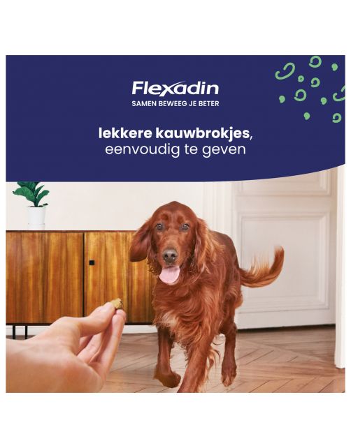 Flexadin Young Dog Mini - Chews - Gewricht-Supplement - 60 stuks <10 Kg