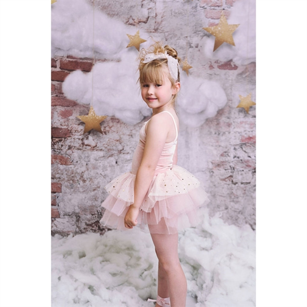 Velvet Leotard With Tulle Tutu Kjole Ballet Pink