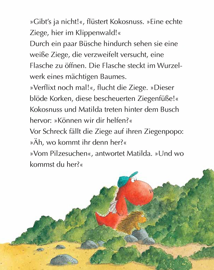 Der kleine Drache Kokosnuss und der große Zauberer / Die Abenteuer des kleinen Drachen Kokosnuss Bd.3