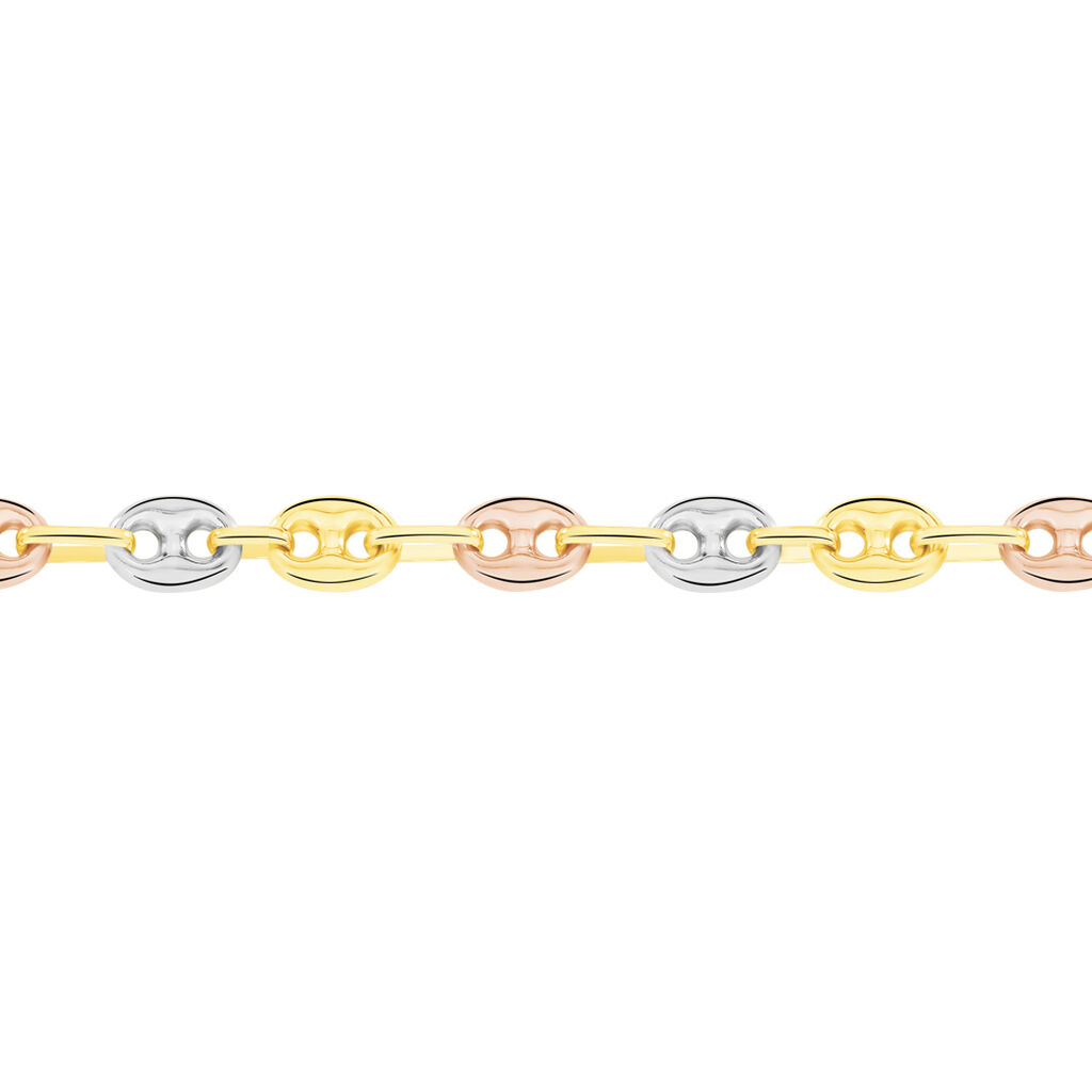 Collier Joselene Maille Grain De Café Or Tricolore