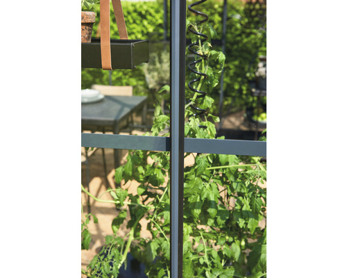 JULIANA Compacte kas, 8,2 m², 10 mm dubbelwandige polycarbonaat panelen, 224 x 368 cm, antraciet/zwart