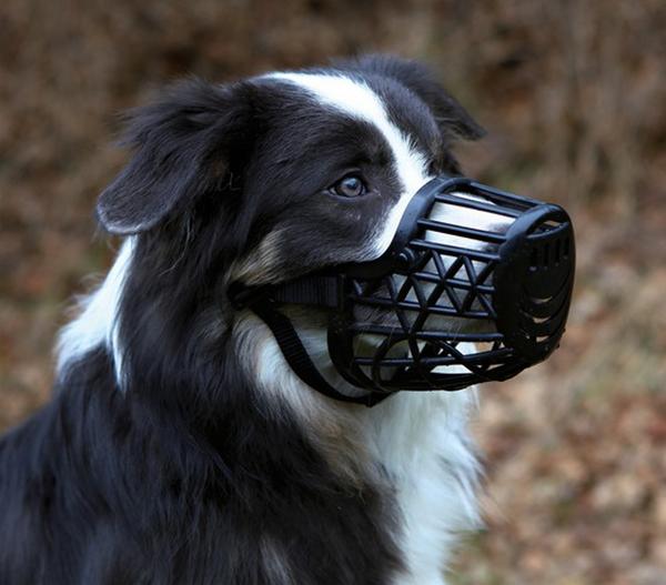 Trixie Maulkorb für Hunde