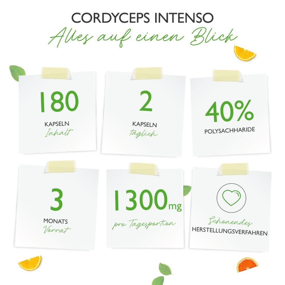 vit4ever Cordyceps Intenso