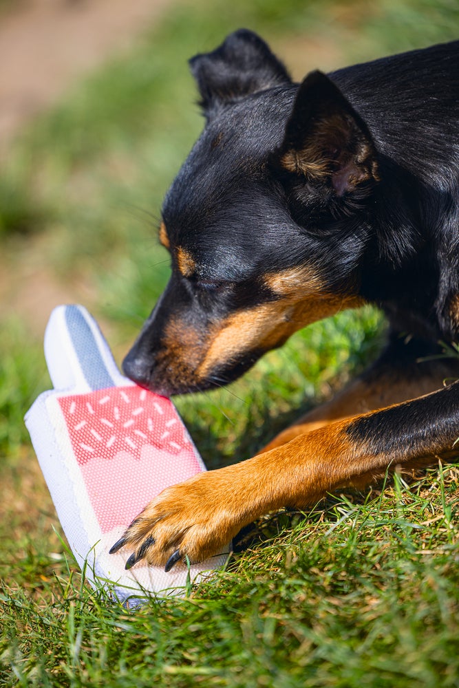 Beeztees hondenspeelgoed Ice Cream roze 22 x 8 x 3 cm