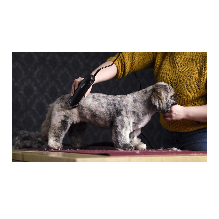 Máquina de tosquiar pelos de cães Moser Max 45