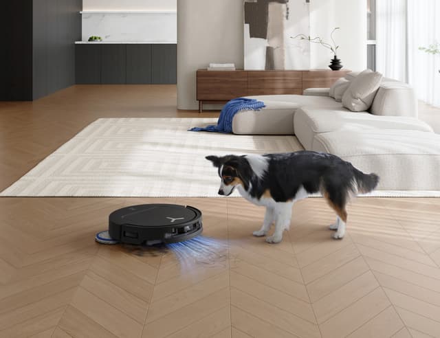 Ecovacs T50 Omni rengøringsrobot DDX57 (sort)