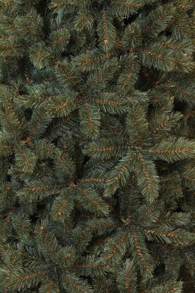 Triumph Tree Forest Frosted Pine Slim Fit - Kunstkerstboom - Blauw / Groen - 215 cm