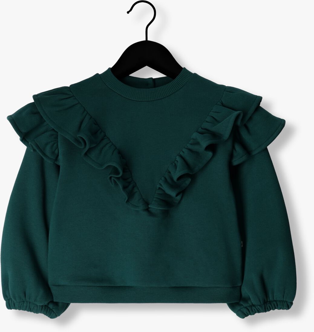 AMMEHOELA groene ammehoela sweater am.philou.21